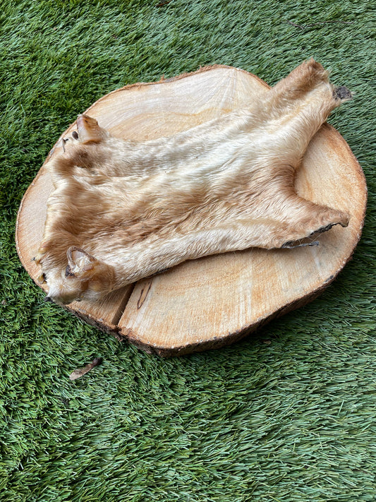 Beef Bark XL