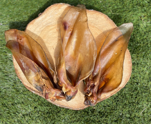 Buffalo Ear