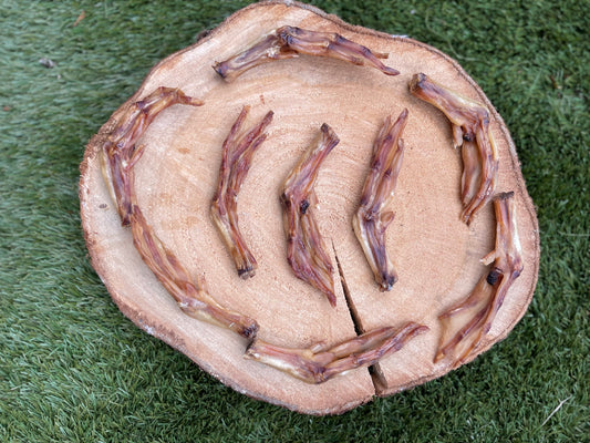 Duck Feet