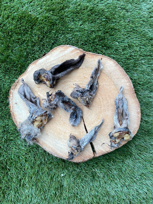 Lamb Ears