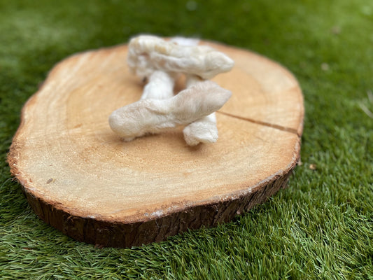 Rabbit Feet