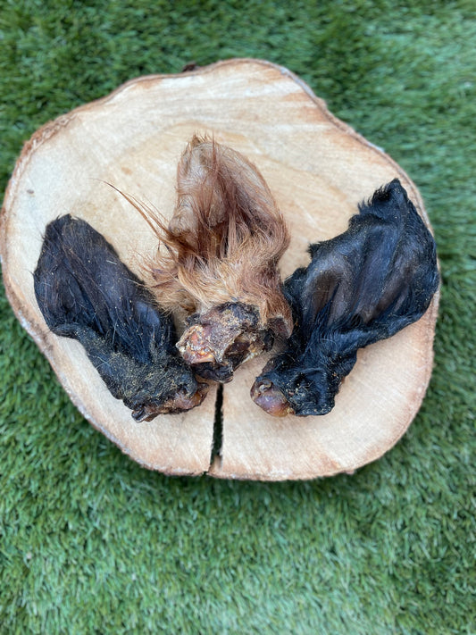 Hairy Cows Ear
