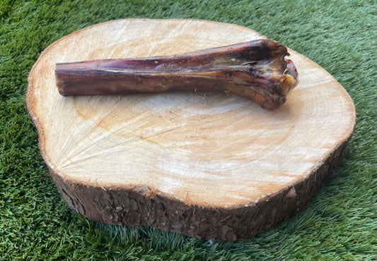 Ostrich Metatarsus Bone