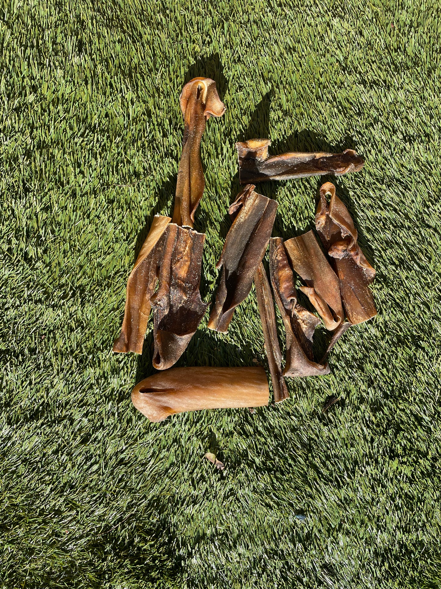 Camel Skins 15 cm - 10 Pieces