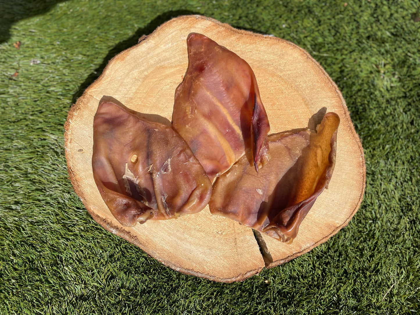 Pigs Ear