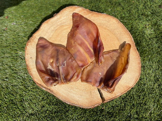 Pigs Ear