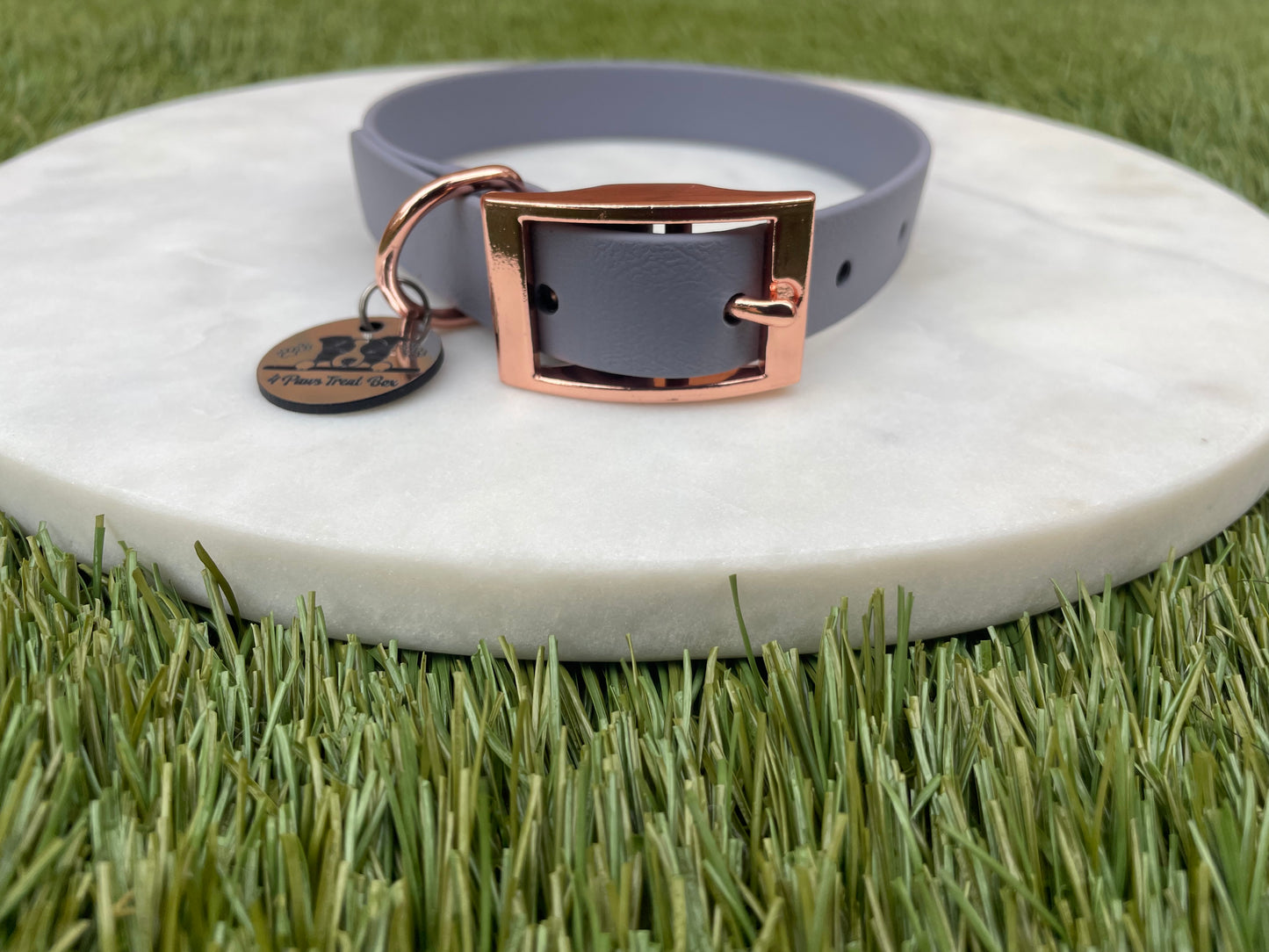 Custom Biothane Collar