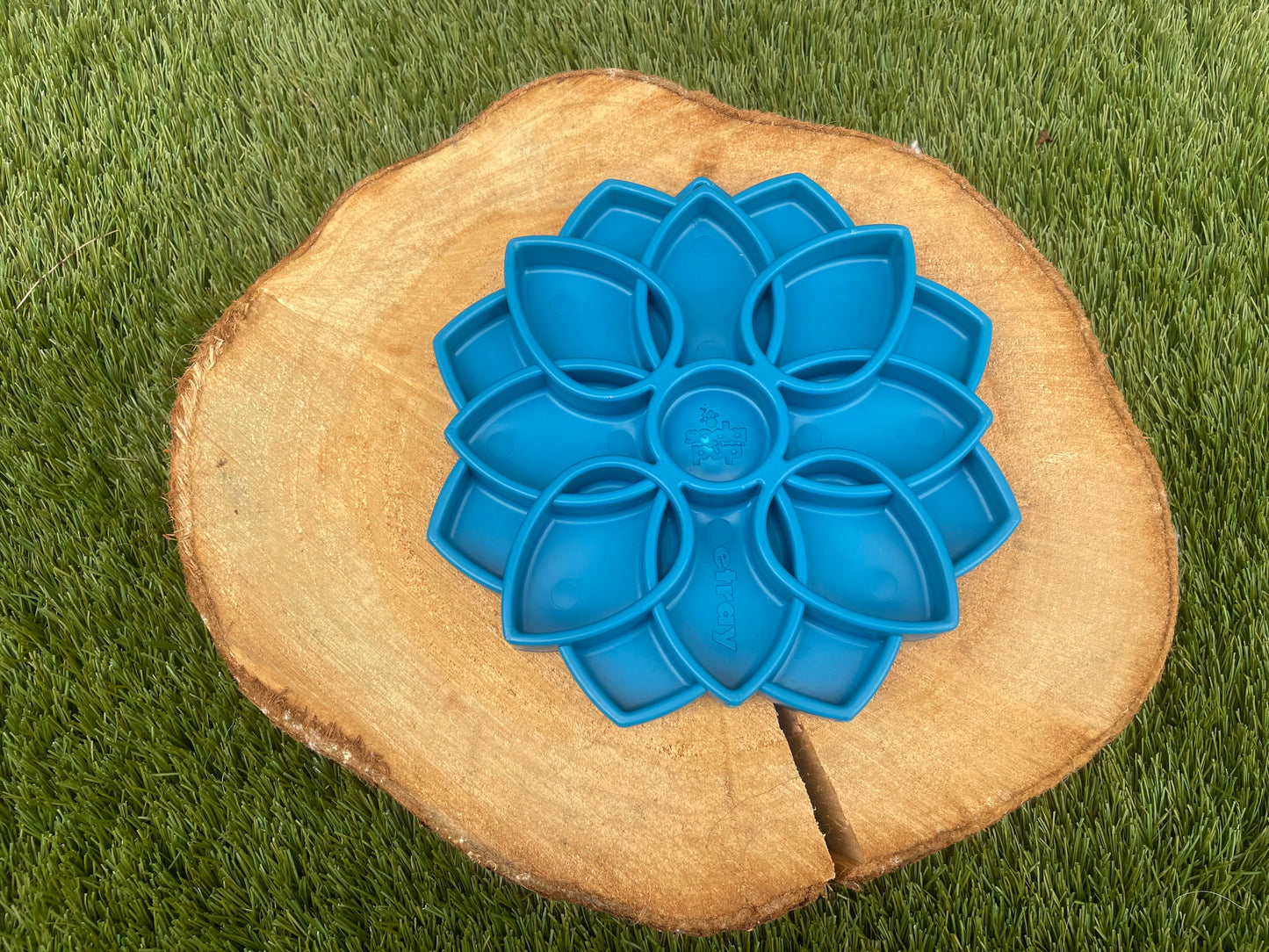 Mandala Design Etray Enrichment Tray
