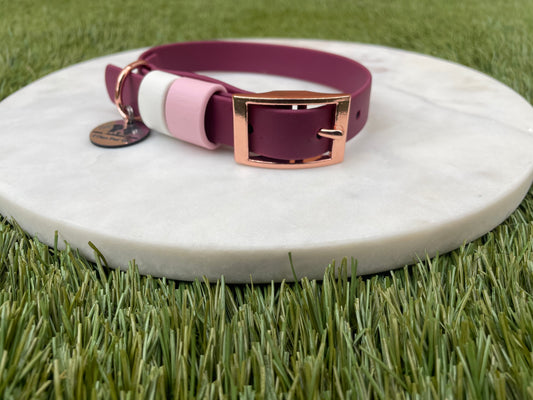 Custom Biothane Collar with Keeper