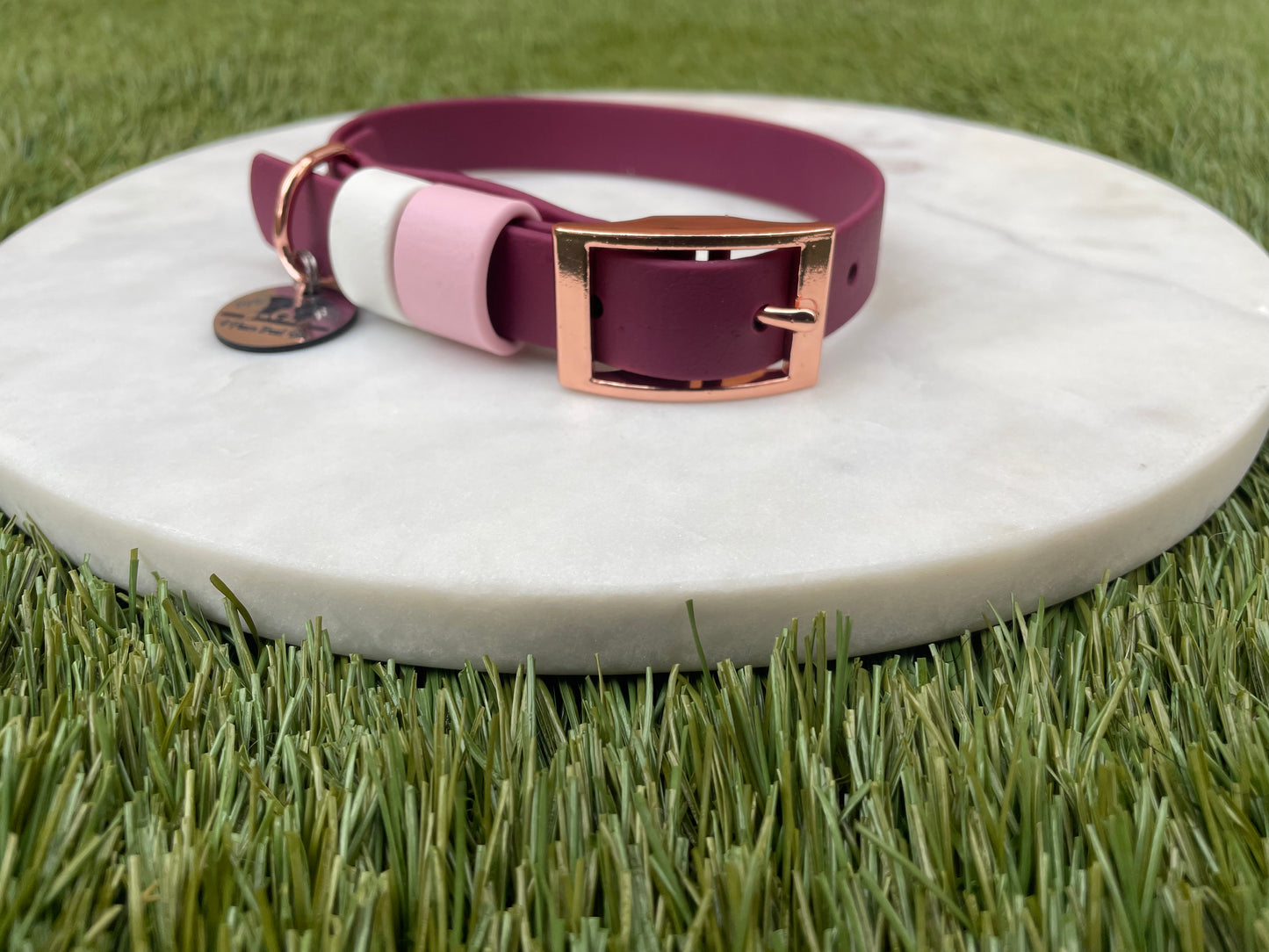 Custom Biothane Collar with Keeper