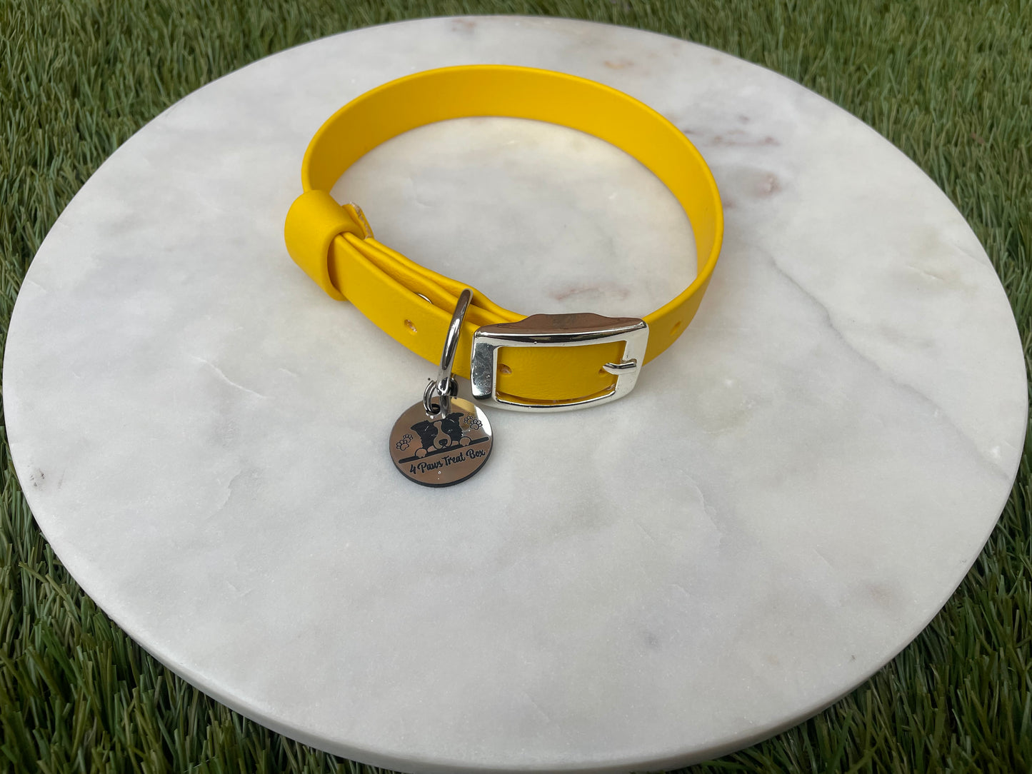 Custom Biothane Collar with Keeper