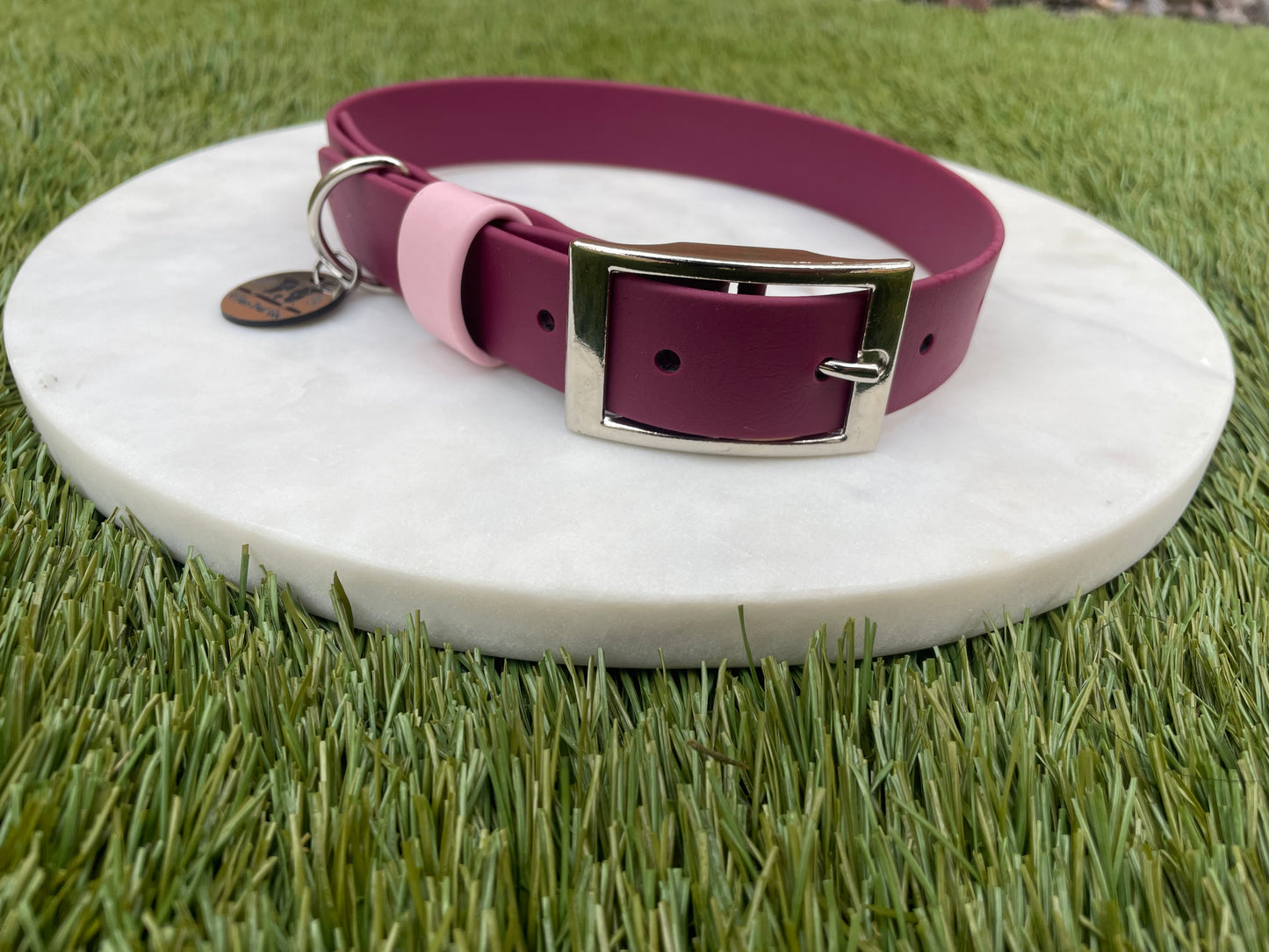 Custom Biothane Collar with Keeper