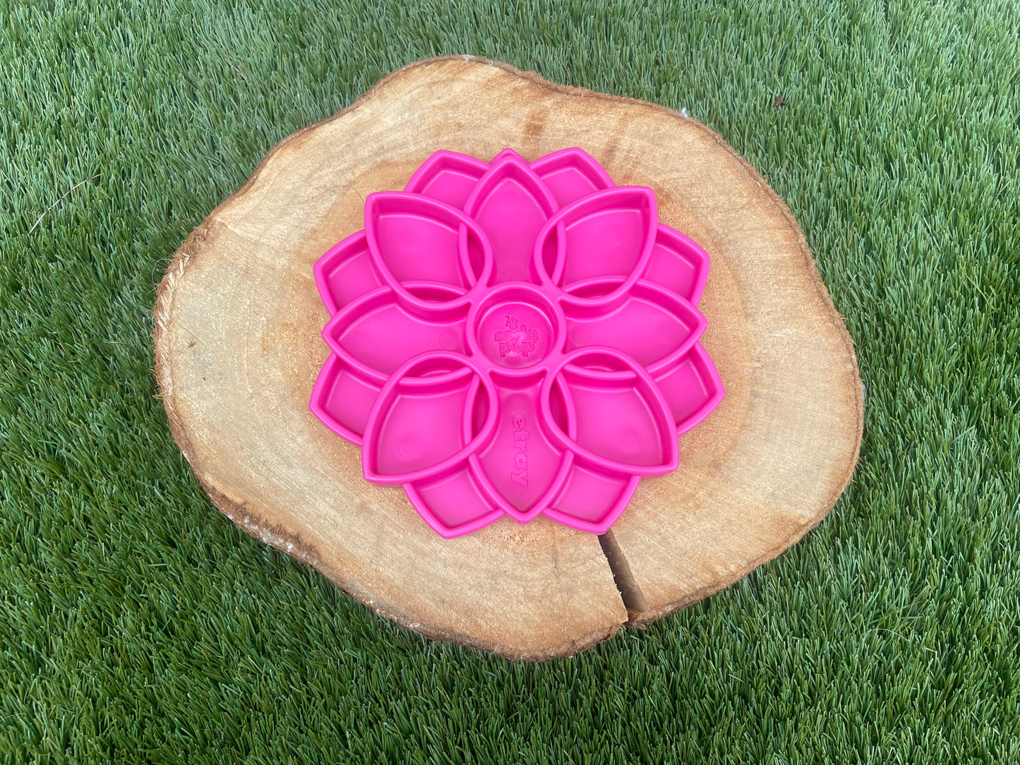 Mandala Design Etray Enrichment Tray