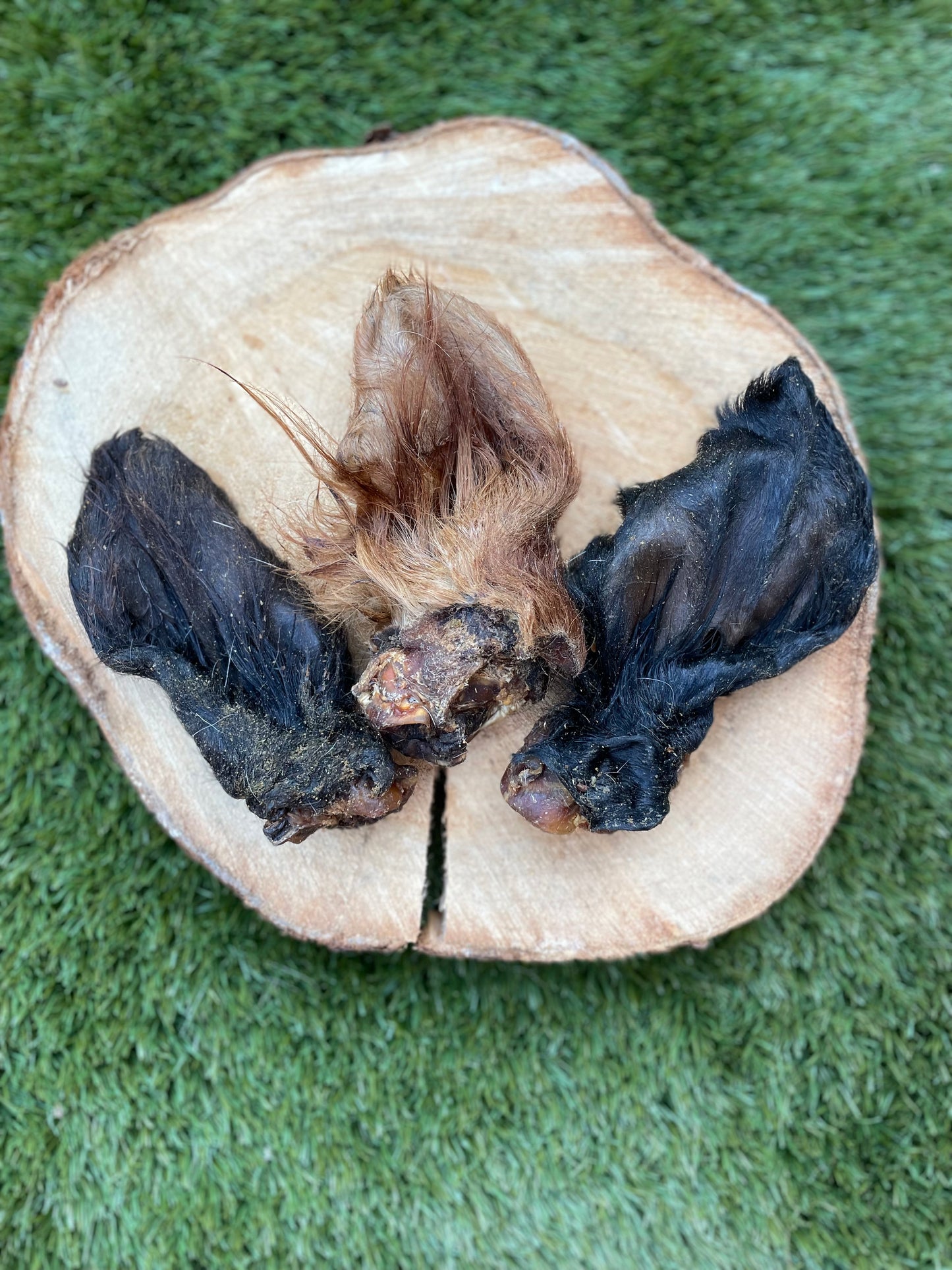 Hairy Cows Ear