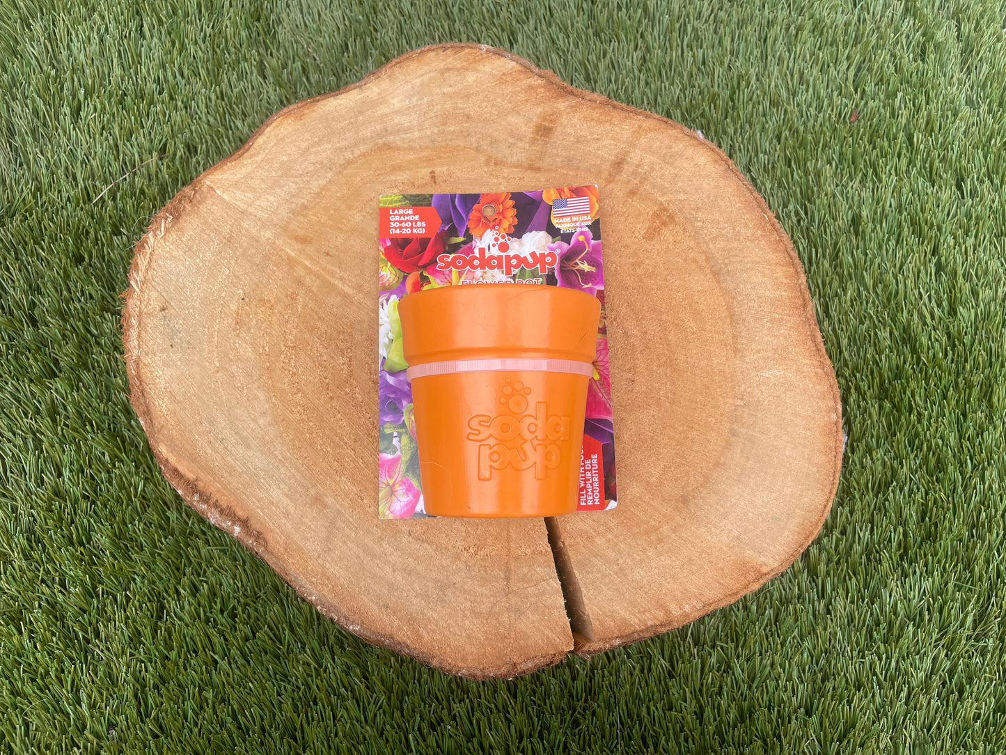 Soda Pup Flower Pot