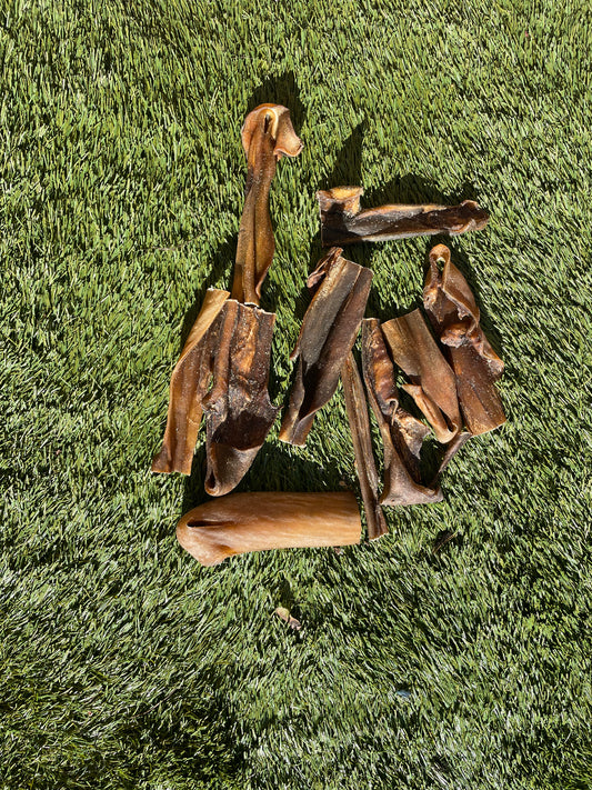 Camel Skins 15 cm - 10 Pieces