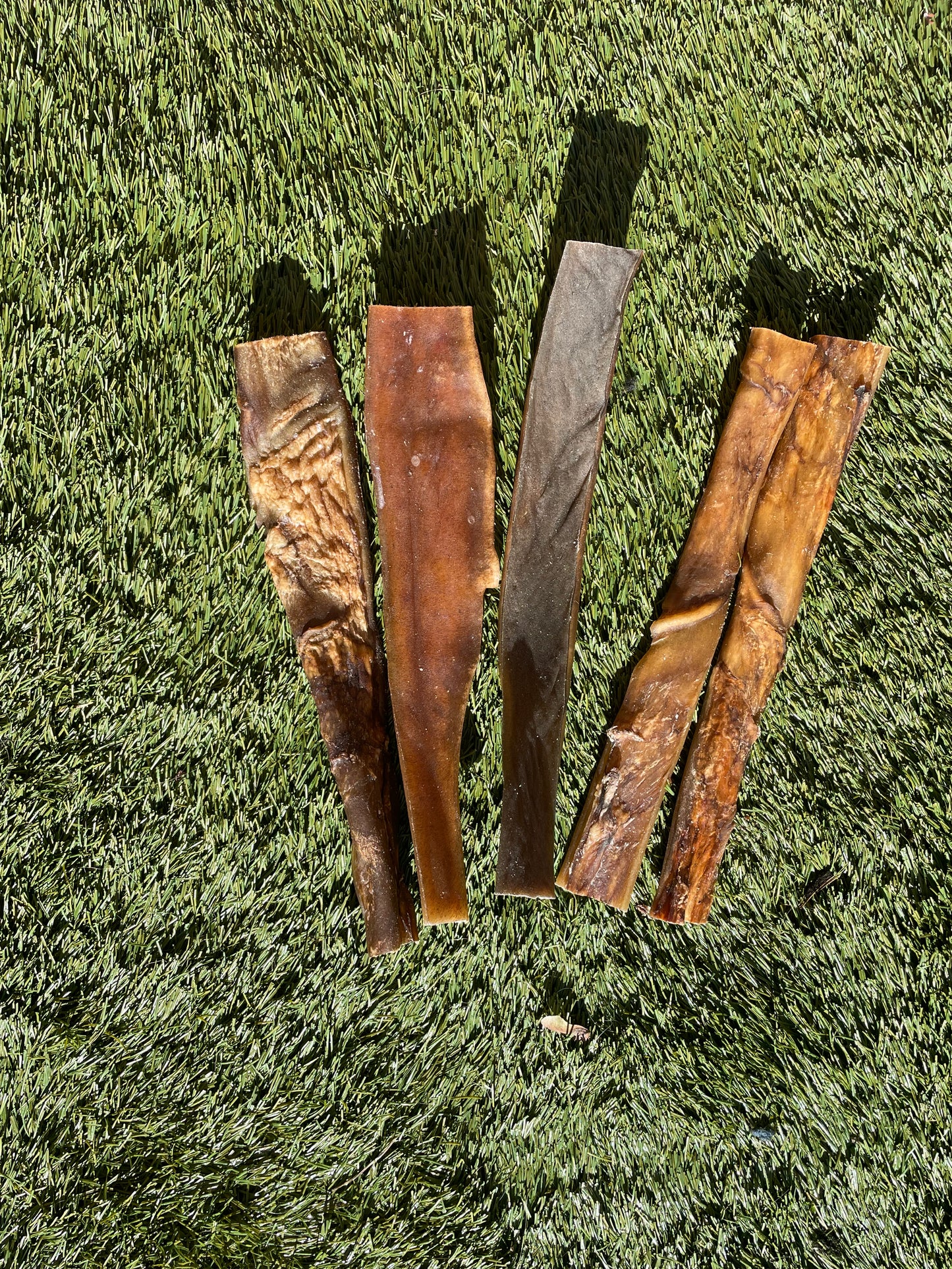 Camel Skins 30cm - 5 Pieces