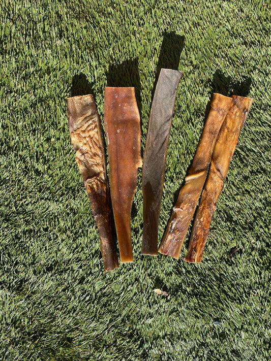 Camel Skins 30cm - 5 Pieces